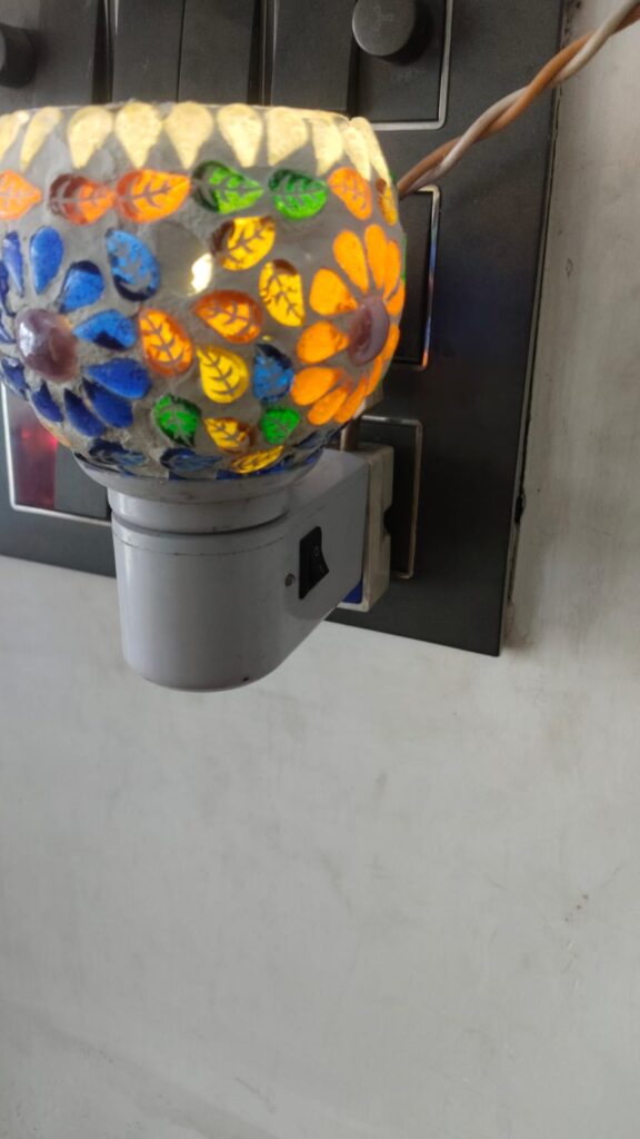 ELECTRIC KAPOOR DANI