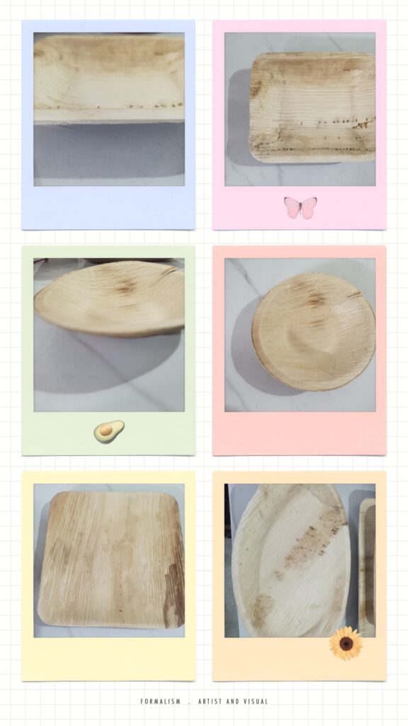 ARECA PALM PLATES