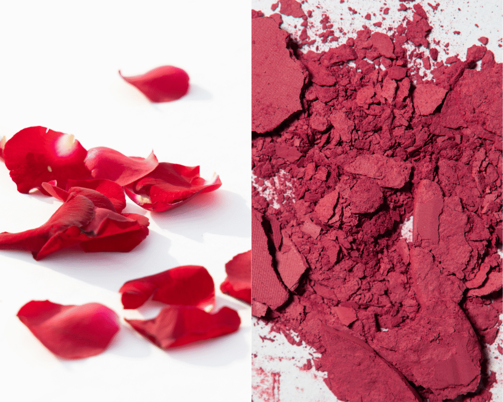 FRESH ROSE POWDER FACE WASH